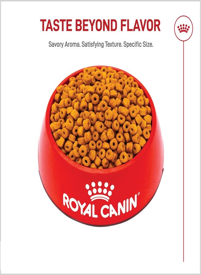 Royal Canin Breed Health Nutrition Labrador Retriever Puppy Dry Dog Food, 2.5 lb Bag - Image 2